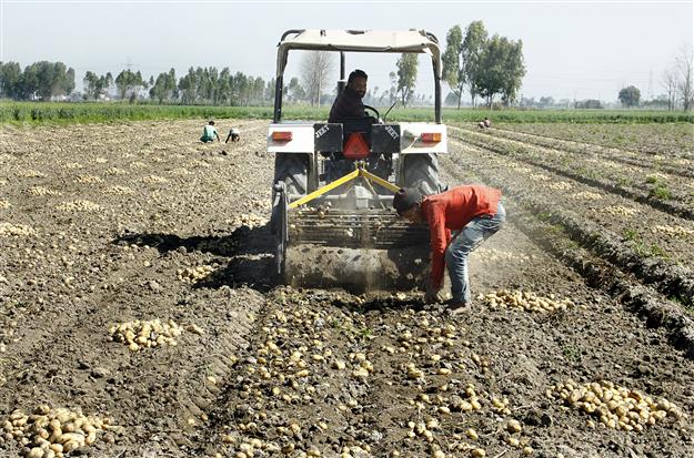 Punjab mulls adopting blockchain tech for smart farming solutions