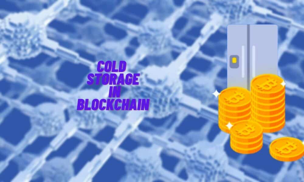 What Is Cold Storage In Blockchain All The Information You Require